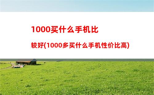 000买什么手机比较好(1000多买什么手机性价比高)"