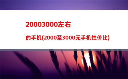 0003000左右的手机(2000至3000元手机性价比)"