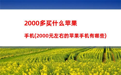 000多买什么苹果手机(2000元左右的苹果手机有哪些)"