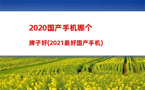 020国产手机哪个牌子好(2021最好国产手机)"