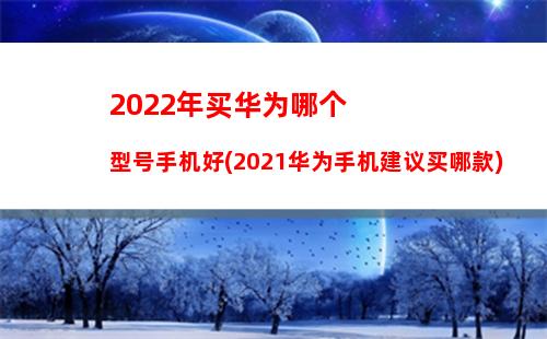 022年买华为哪个型号手机好(2021华为手机建议买哪款)"