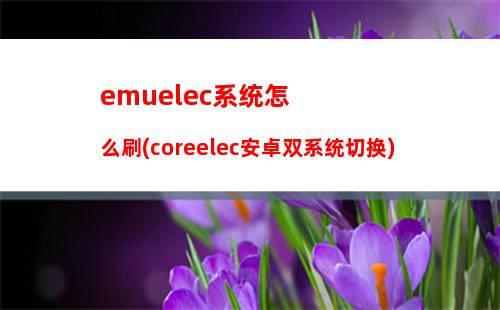 emuelec系统怎么刷(coreelec安卓双系统切换)