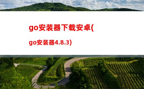 go安装器下载安卓(go安装器4.8.3)