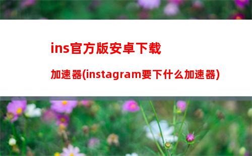 ins官方版安卓下载加速器(instagram要下什么加速器)