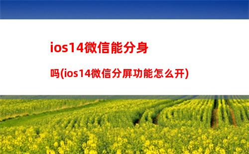 ios14微信能分身吗(ios14微信分屏功能怎么开)