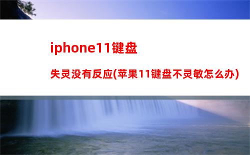 iphone11键盘失灵没有反应(苹果11键盘不灵敏怎么办)