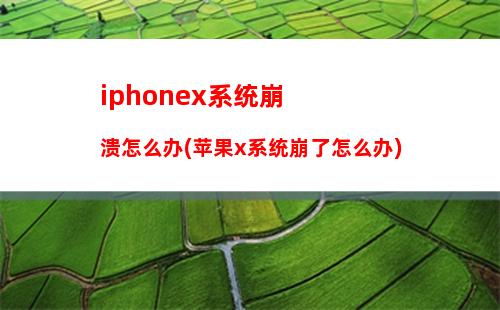 iphonex系统崩溃怎么办(苹果x系统崩了怎么办)