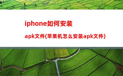 ios掌阅怎么导入本地书籍(ios掌阅怎么导入本地小说)