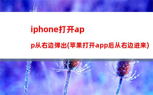 ip地址不可用怎么设置华为手机(ip地址不可用怎么设置vivo)