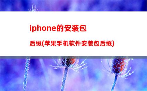 iphone的安装包后缀(苹果手机软件安装包后缀)