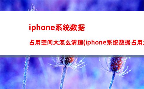 iphone系统数据占用空间大怎么清理(iphone系统数据占用太多内存)