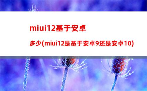 miui12基于安卓多少(miui12是基于安卓9还是安卓10)