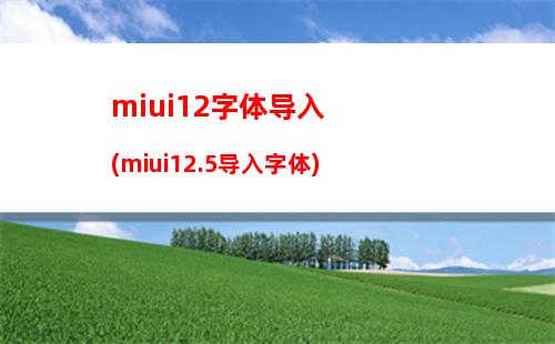 miui12字体导入(miui12.5导入字体)