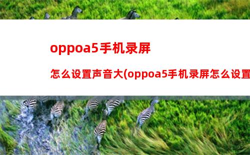 oppoa5手机录屏怎么设置声音大(oppoa5手机录屏怎么设置声音小)