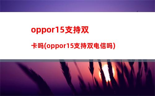 000预算买什么苹果手机,2000预算买什么苹果手机好用(2000多买什么苹果手机)"