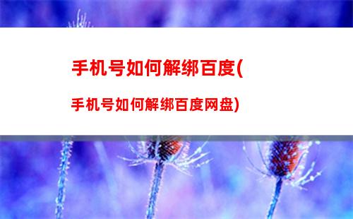 手机号如何解绑百度(手机号如何解绑百度网盘)