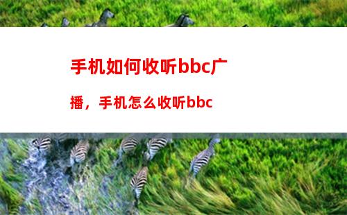 手机如何收听bbc广播，手机怎么收听bbc