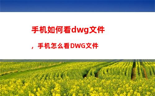 手机如何看dwg文件，手机怎么看DWG文件