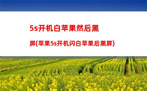 s开机白苹果无法进入安全模式"