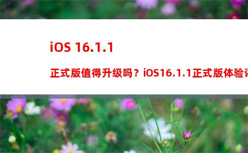 iOS版手机QQ8.9.69新版发布 修复iOS17 beta3闪退问题