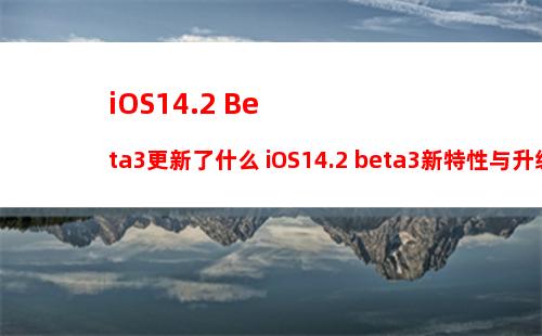 iPhone 15系列边框更窄！屏幕保护膜曝光