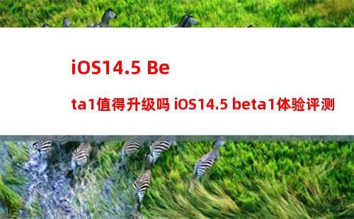 iOS 14.4 RC版发布 附更新内容一览