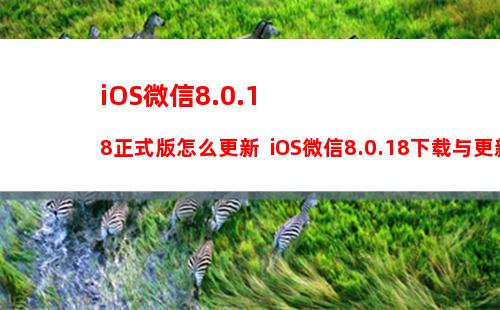 iOS13 Beta8更新了什么？iOS13 beta8新特性与升降级攻略