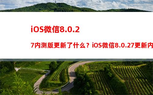 iPhone14全系渠道报价低于官网 库克回应14 Pro供不应求