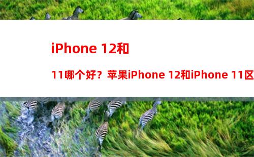 苹果也玩大内存？iPhone 15顶配版直接干到2TB！