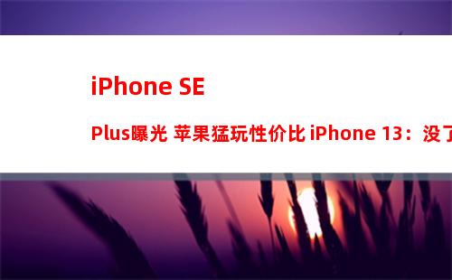 iPhone怎么设置双击截屏 苹果手机设置双击截屏教程