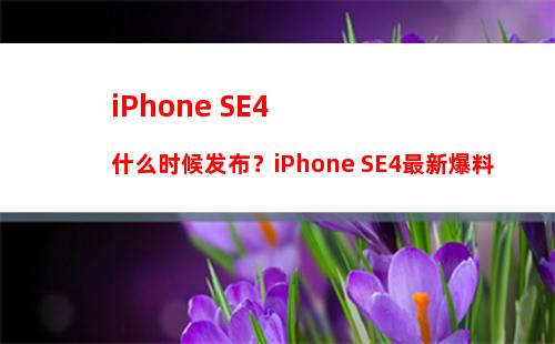 mini机型要回归！iPhone15系列将有5款机型