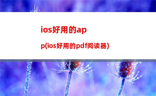 ios宏定义(c语言宏定义格式)