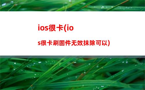 ios黑体(ios黑体可以商用吗)