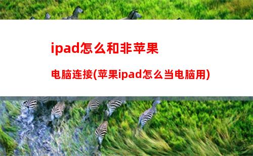 手机号码如何备份到另一个手机(苹果手机号码怎么备份到另一个苹果手机上)