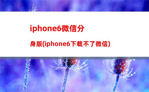 iphone5安装输入法(iPhone5怎么安装微信)