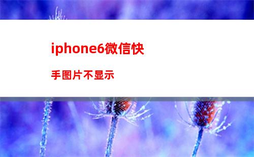 iphone4哪个版本最好(iphone4可以用微信哪个版本)