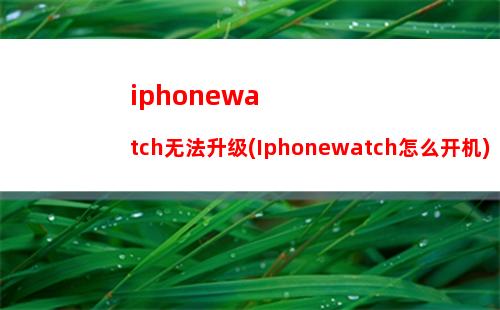 iphonese支持2a充电吗(Iphonese无线充电)