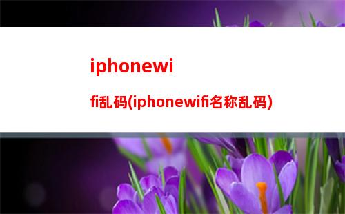 iphonewifi不可用(iphonewifi网络暂时不可用)