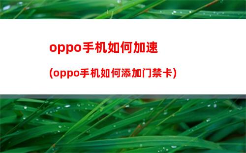 我手机如何下载东西(oppo手机如何下载)