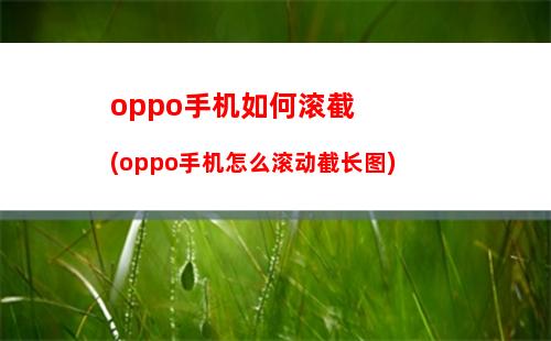 oppo手机如何删除视频(oppo手机删除视频后内存不变)