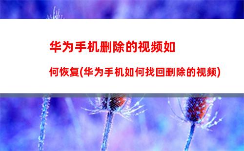 如何不用手机号注册微信号(如何不用手机号注册微信号华为)