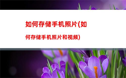 乐视手机如何投屏(乐视电视手机投屏开启功能在哪里)