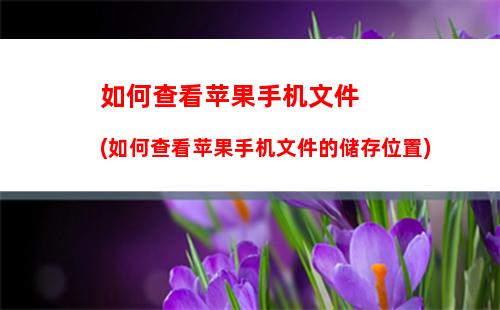 跨省如何注销手机号码(跨省如何注销手机号码移动)