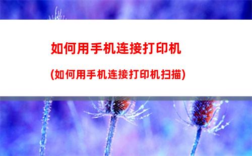 微信支付姓名不是本人怎么找回支付密码 微信支付姓名不是本人找回支付密码方法