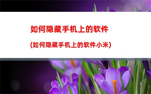 如何看手机不伤眼睛(如何使用手机不伤眼)