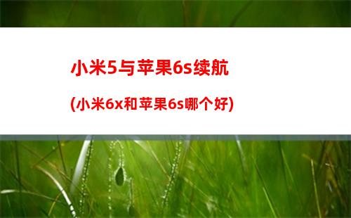 如何给手机分辨新机(小米手机怎么分辨是不是新机)