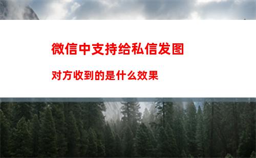 微信怎么不用好友验证登录账号 微信不用好友验证登录账号方法