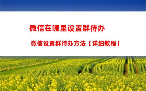 微信新表情怎么更新 微信表情更新的方法