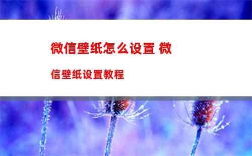 微信赞赏码每天限额有多少 微信赞赏码每天限额介绍