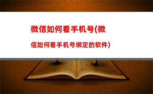 苹果手机微信如何升级(苹果手机如何安装2个微信)